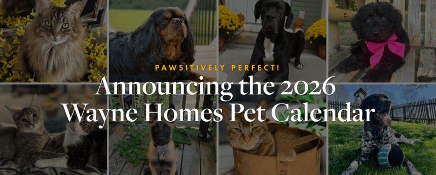 Pets December